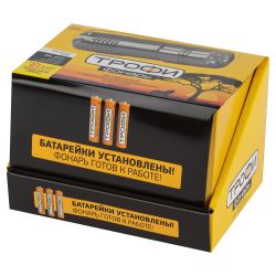 Светодиодный фонарь Трофи TM9-box12 ручной на батарейках в промо-боксе алюминиевый