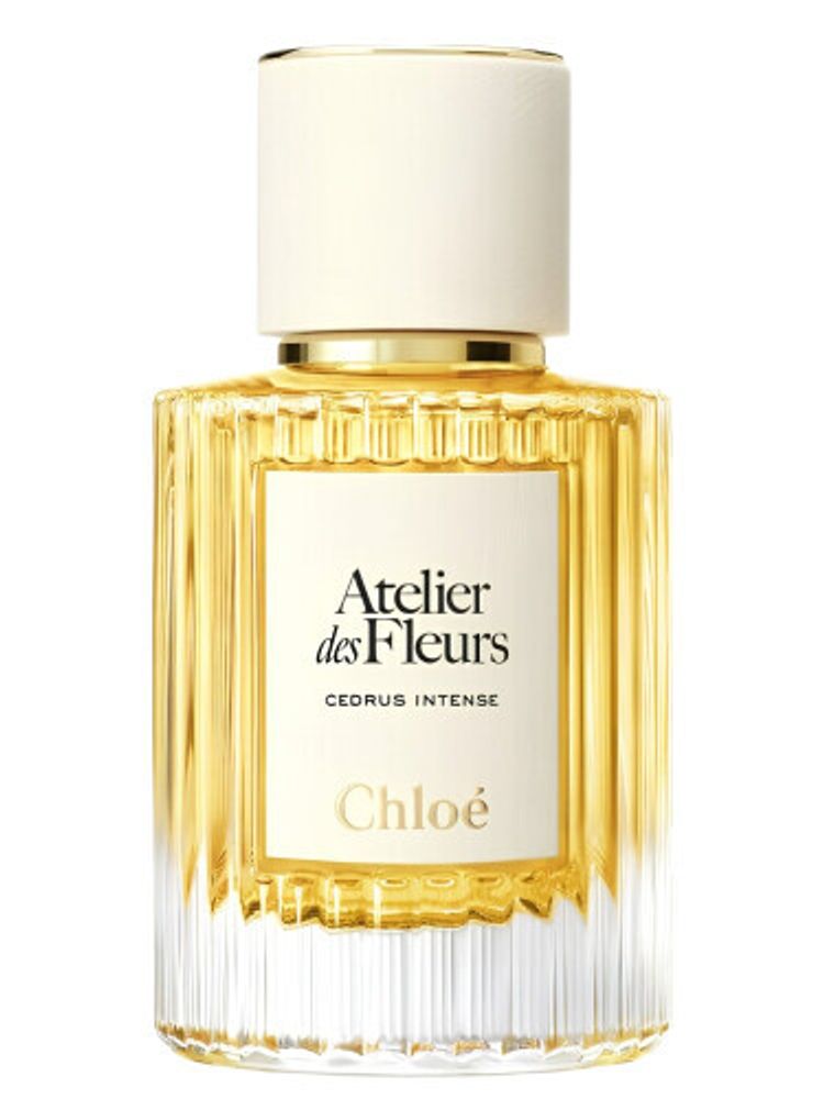 Chloé Cedrus Intense