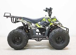 Купить Квадроцикл GreenCamel Гоби K51 (36V 800W R7 Цепь) быстросъем, ножной тормоз