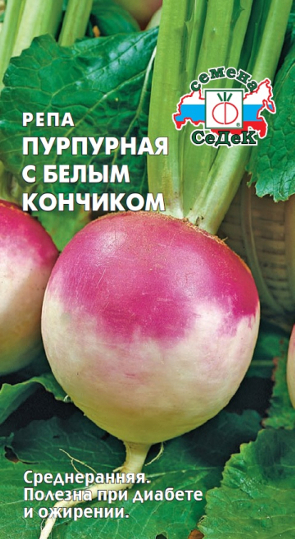 Репа Пурпурная с белым кончиком