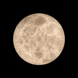 Накладной светильник Loft it Emi 10414W/S