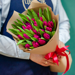 Малиновые тюльпаны в оформлении