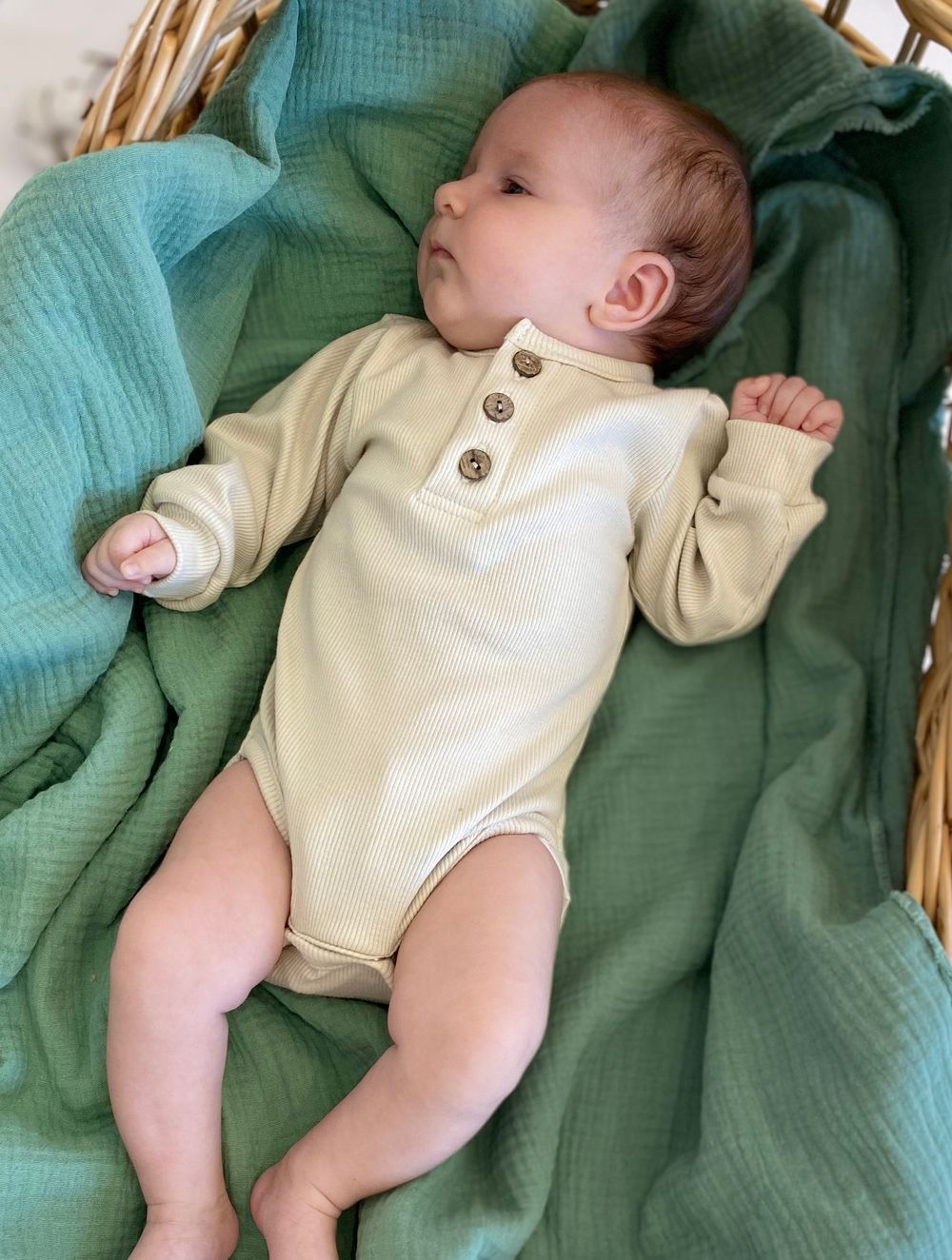 Боди из кашкорсе Garden