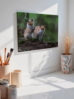Картина на стену 40 X 50 Лисята