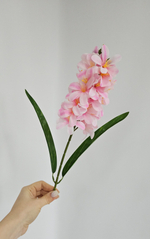 Гиацинт / Арт 2534