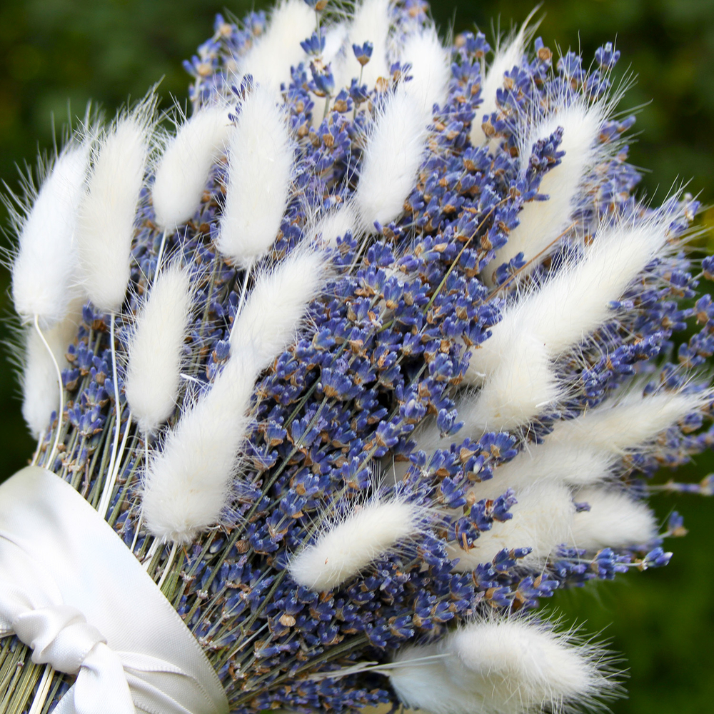 Букет сухоцветов Лаванда и Лагурус белый