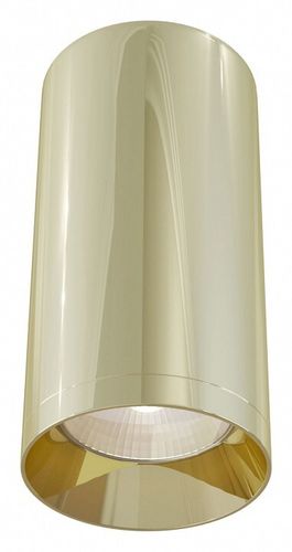 Накладной светильник Maytoni Technical C010CL-01G