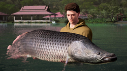 Fishing Sim World: Pro Tour - Giant Carp Pack (для ПК, цифровой код доступа)