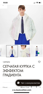 Ветровка Louis Vuitton