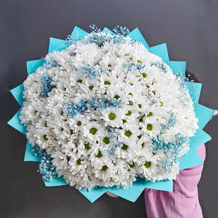 Букет из 49 хризантем сорта "KENNEDY WHITE" и гипсофилы "TIFFANY"