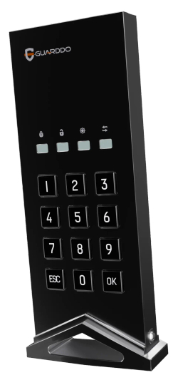 SSD-диск Pro Edition GuardDo с паролем и шифрованием AES-256