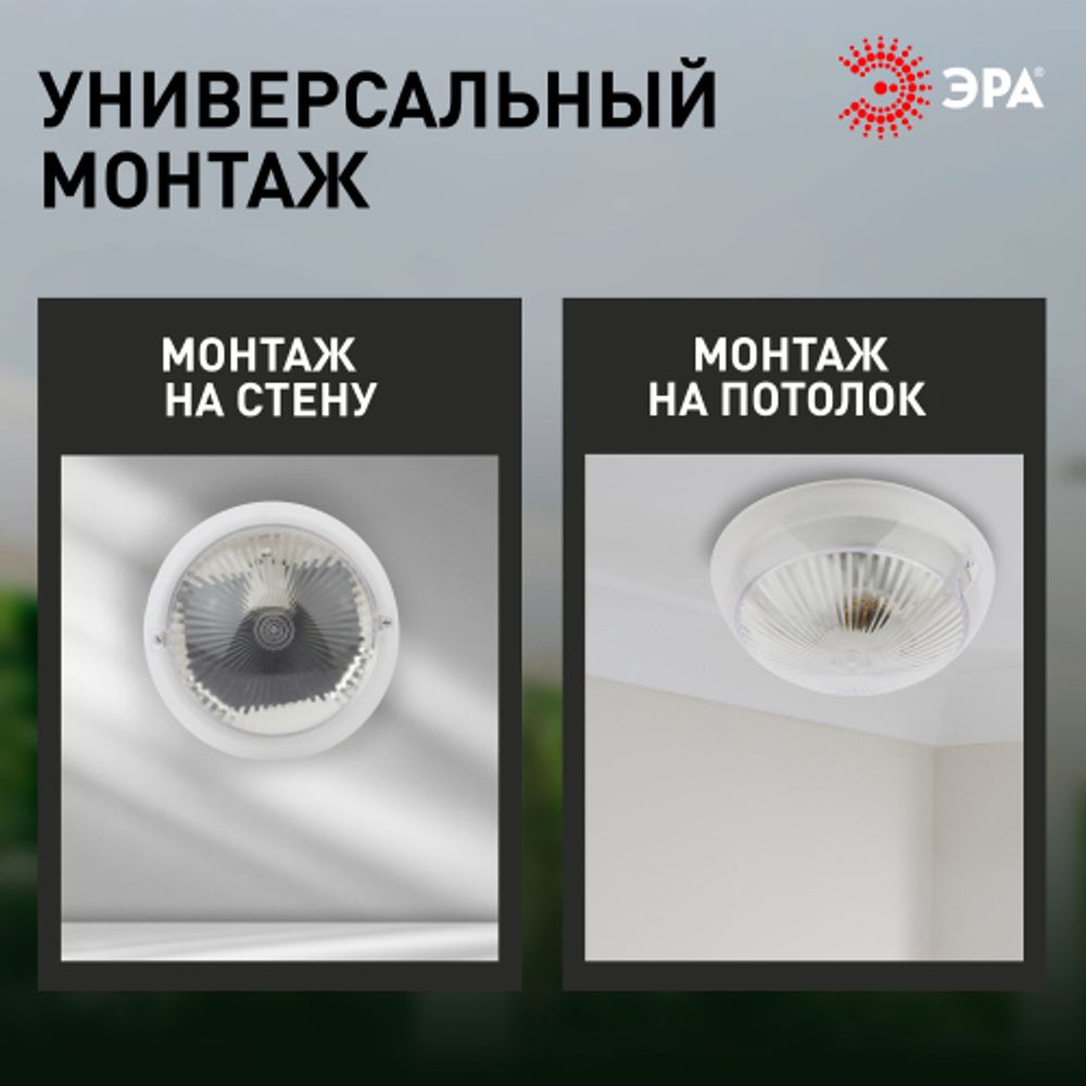 Светильник ЭРА НБП 06-60-011 Сириус антивандальный IP54 E27 max 60Вт D220 круг призма | Светильники ЖКХ IP54