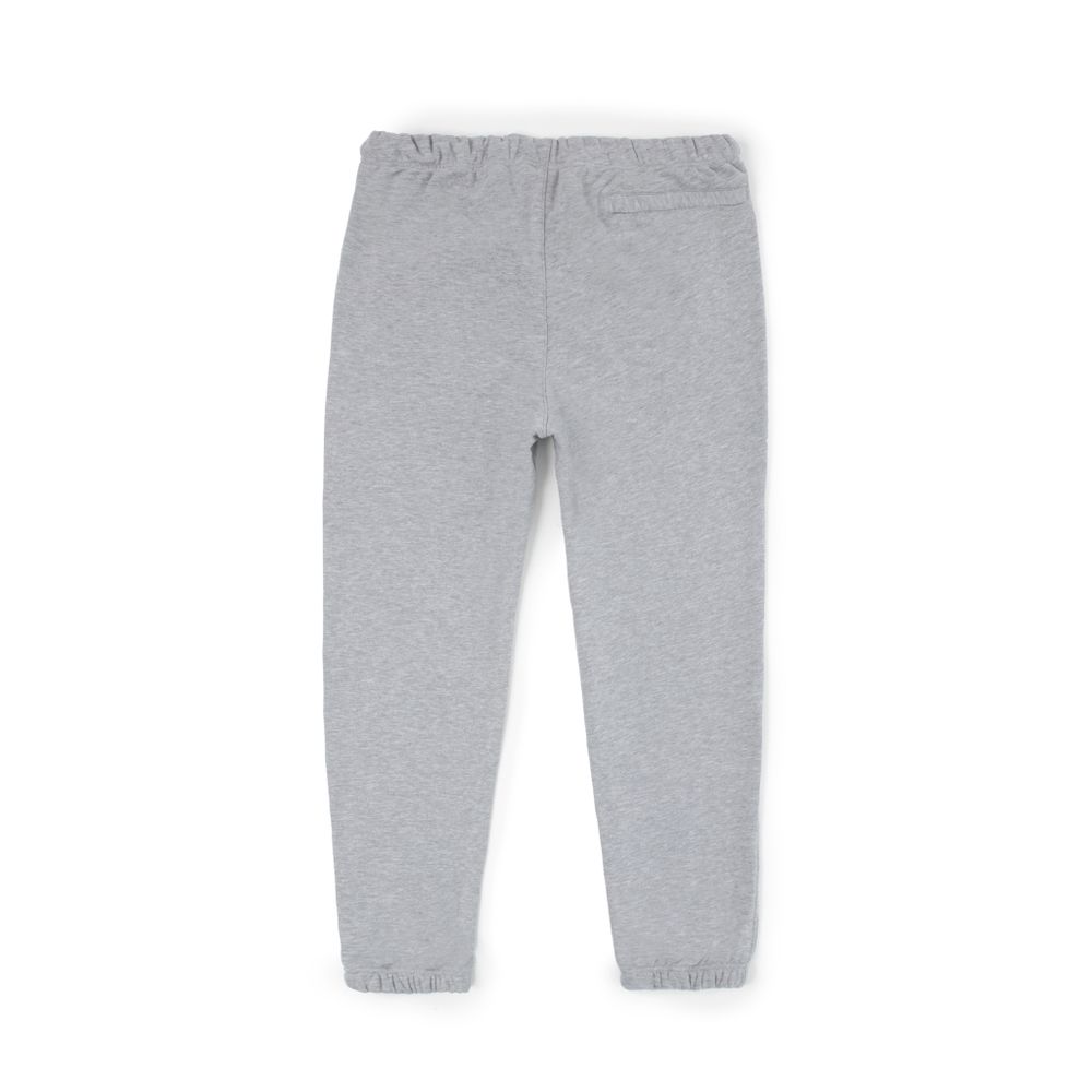 Штаны Питерский Щит Logo Зимние Серые