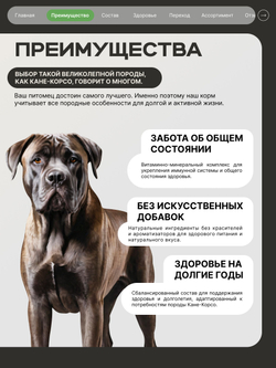 Корм сухой для взрослых собак породы Кане-корсо, с ягненком, 2.5 кг, QUATTRO