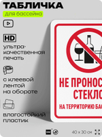 Табличка для бассейна "Не проносить стекло", на пляж, для общественной и частной зоны отдыха, информационная, 40х30 см, Silver Plane x Айдентика Технолоджи