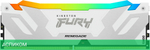 Оперативная память Kingston Fury Renegade RGB RTL Gaming DDR5 16GB (KF580C38RWA-16)