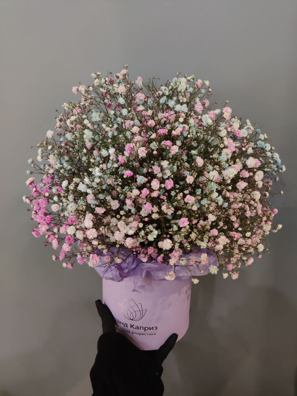 Композиция из розовой и голубой гипсофилы