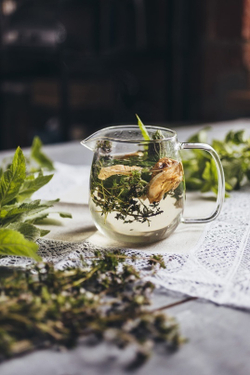 Сныть молодая