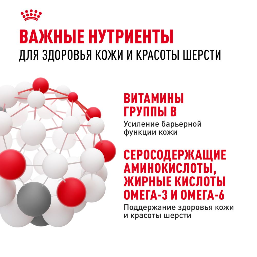Сухой корм Royal Canin Hair&Skin Care для взрослых кошек для поддержания здоровья кожи и шерсти