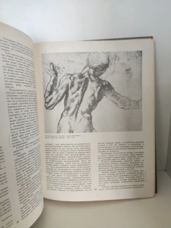 Натура и рисование по представлению