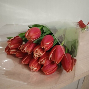 Букет из 15 сортовых пионовидных тюльпанов Дабл Колумбус