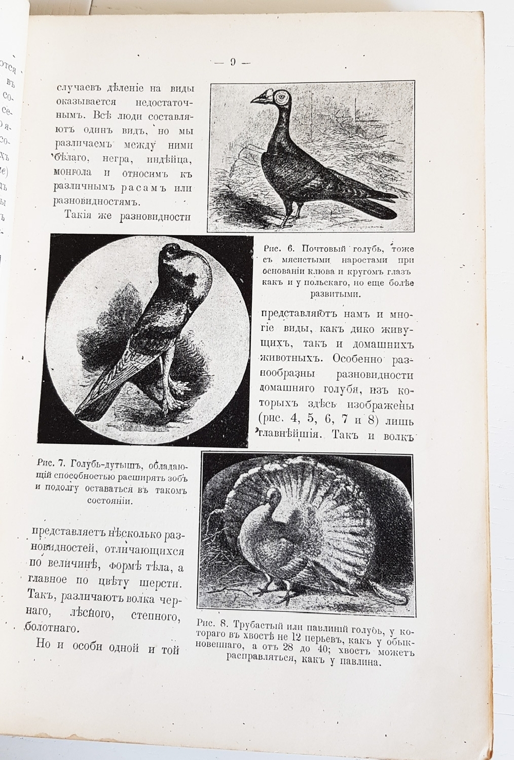 "Руководство зоологии. Для мужских средне-учебных заведений". Л. и В.Шимкевич. 1910 г.