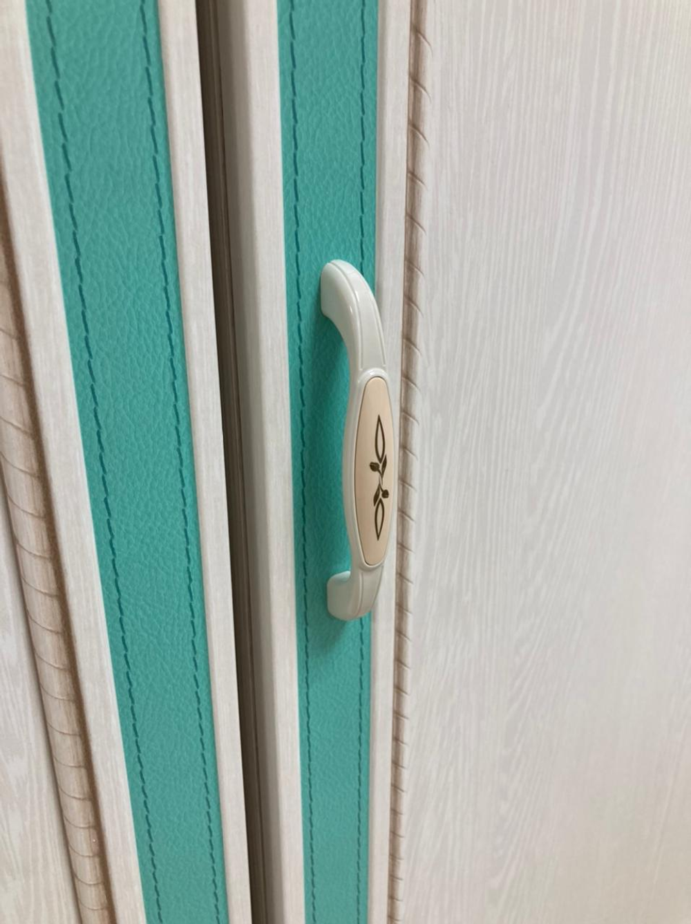 Пенала Миндал 06.25-03 аруша венге/кожа мята