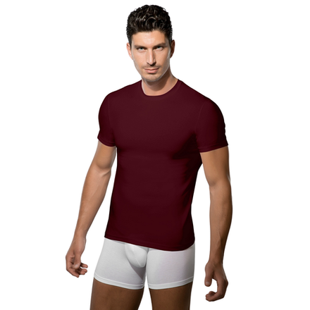 Мужская футболка бордовая Doreanse 2550 Vinous