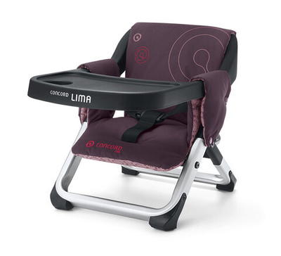 Детский стульчик для кормления Concord Lima