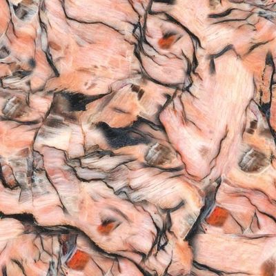 Розоватый узор с  черными чертами