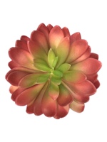 Суккулент 112 красный