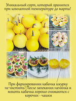 Кабачок-цукини "Золотой"