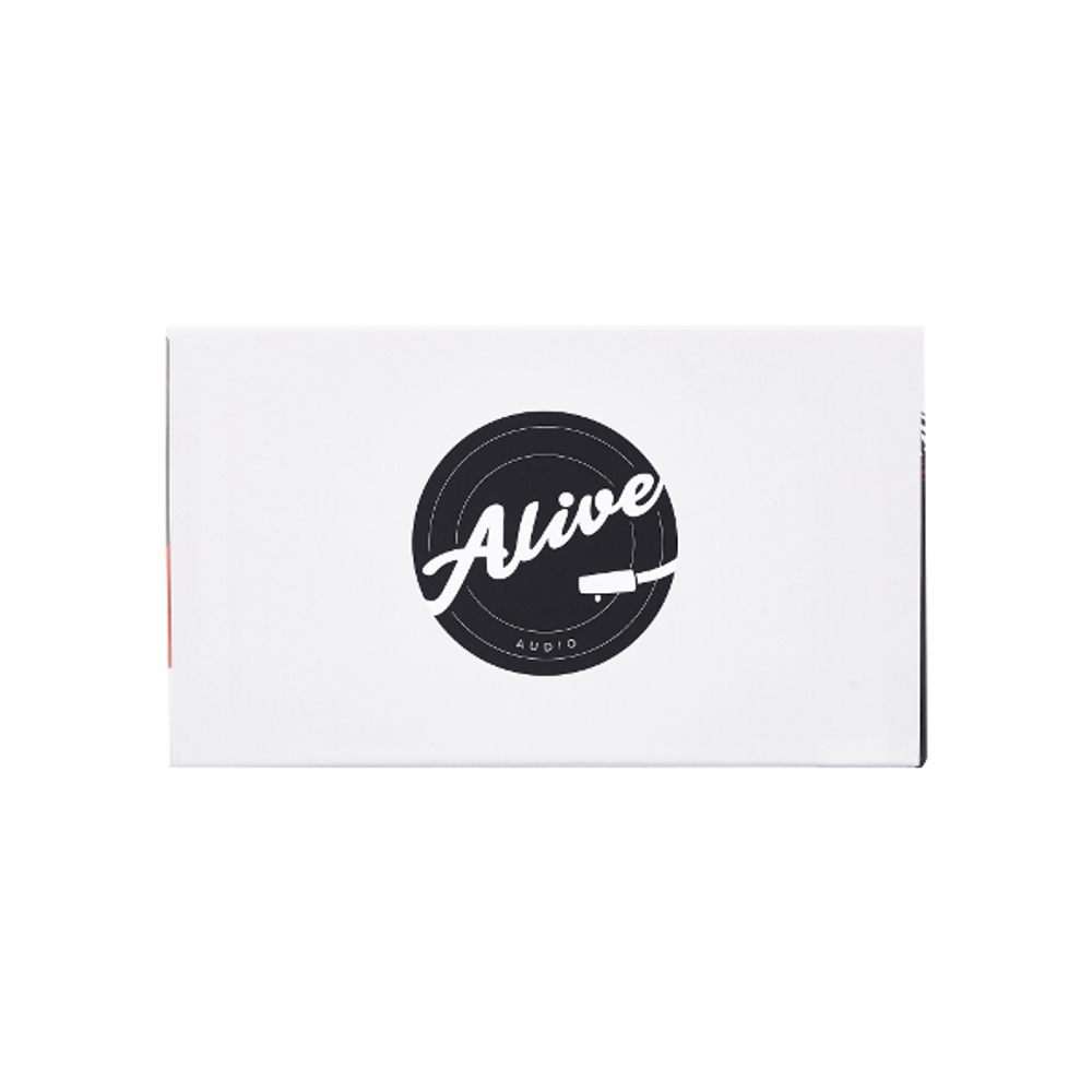Беспроводная колонка Alive Audio Journey (Pearl)