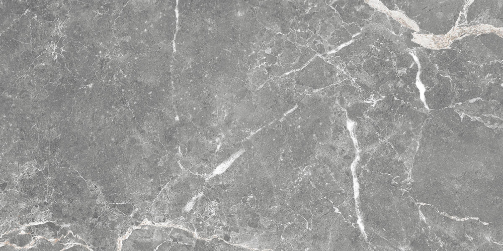 Плитка облицовочная Capella серый 50*25 GT99VG