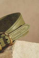 Ошейник "Пони-Селедка" Зеленый