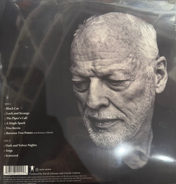 Виниловая пластинка David Gilmour ‎– Luck And Strange LP Silver