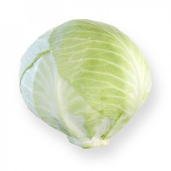 Калорама F1 семена капусты белокочанной (Rijk Zwaan / Райк Цваан)