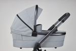 Детская коляска Anex l/type 2 в 1 lt-10t frost