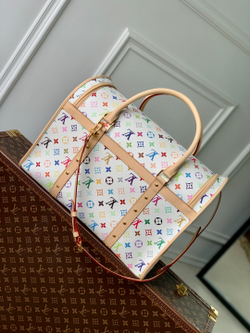 Louis Vuitton Dog Bag