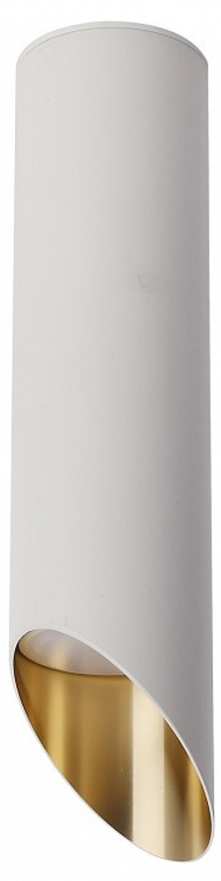 Накладной светильник Maytoni Technical C044CL-01-25GU10-W
