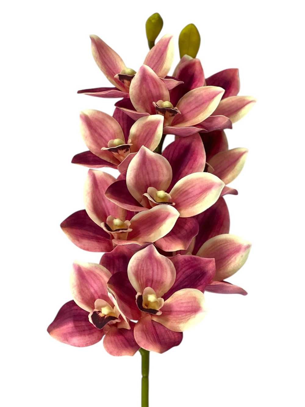 Орхидея Цимбидиум ветка розовая 73 см