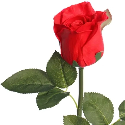 Цветок искусственный «Natur» 50см Розочка красная