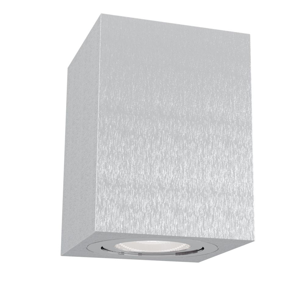 Светильник потолочный Maytoni Alfa C017CL-01S