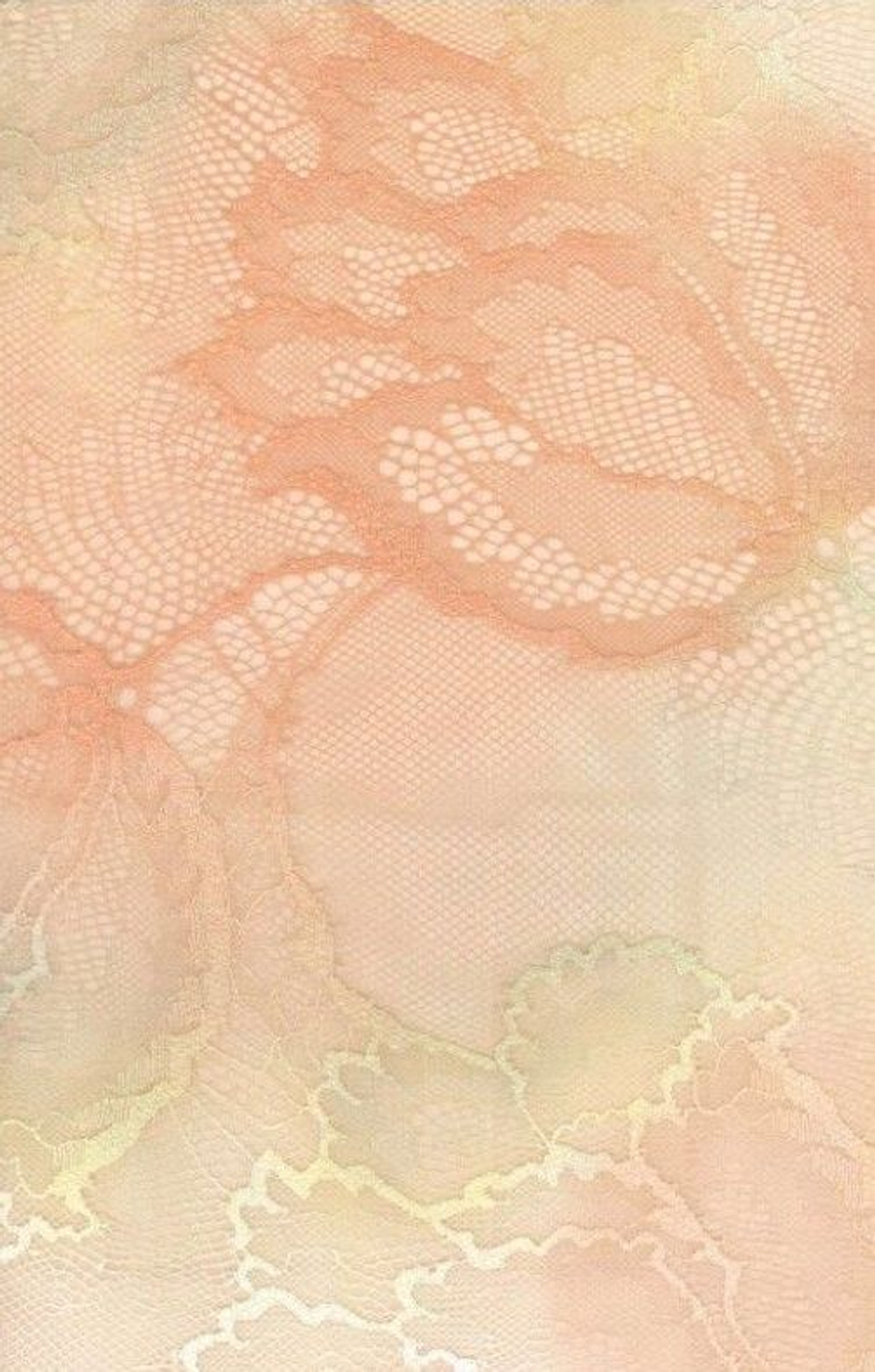 Бюстгальтер-бралетт Loretto из двухцветного кружева (Размер: 75F) (Цвет: персиковый)