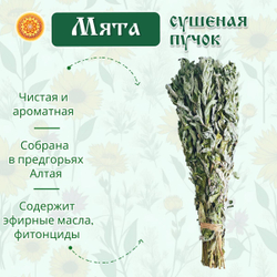 Мята дикая пучок.