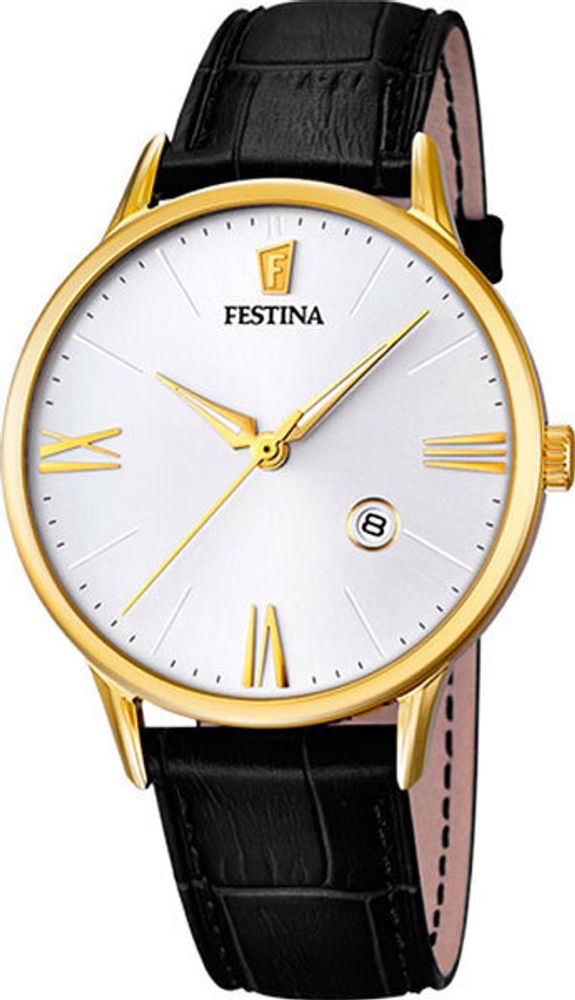 Мужские наручные часы Festina F16825/1