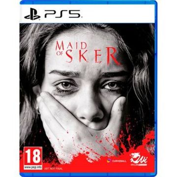 PS5 Maid of Sker PPSA-02966 (Б/У, Русские субтитры)