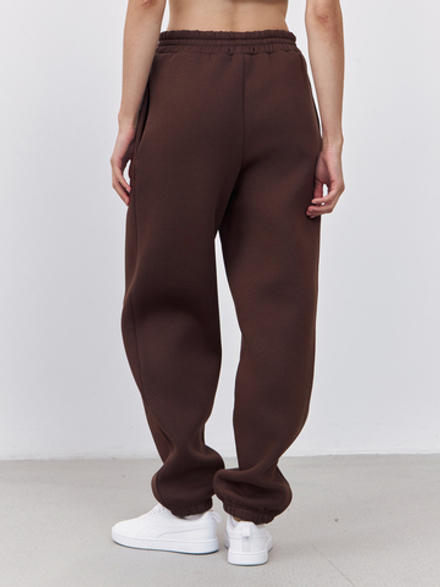 Брюки женские с начесом (коричневый)