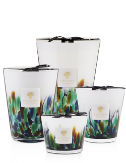 Baobab Collection Rainforest Amazonia - ароматическая свеча /  24 cm   / GTIN 5415198486973