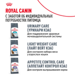 Royal Canin Digestive Care Корм сухой поддержание здоровья пищеварительной системы для взрослых кошек 10кг